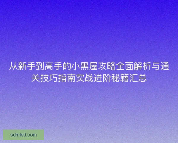 从新手到高手的小黑屋攻略全面解析与通关技巧指南实战进阶秘籍汇总