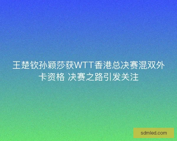 王楚钦孙颖莎获WTT香港总决赛混双外卡资格 决赛之路引发关注